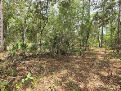 Great opportunity to own a homesite in the fast-growing on Citrus Springs Country Club in Florida - for sale on GolfHomes.com, golf home, golf lot