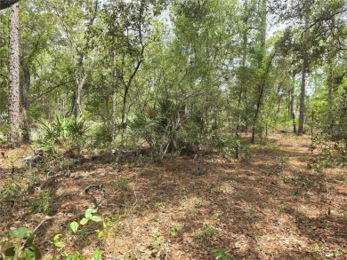 Great opportunity to own a homesite in the fast-growing on Citrus Springs Country Club in Florida - for sale on GolfHomes.com, golf home, golf lot