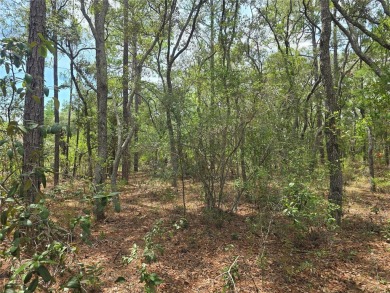 Great opportunity to own a homesite in the fast-growing on Citrus Springs Country Club in Florida - for sale on GolfHomes.com, golf home, golf lot