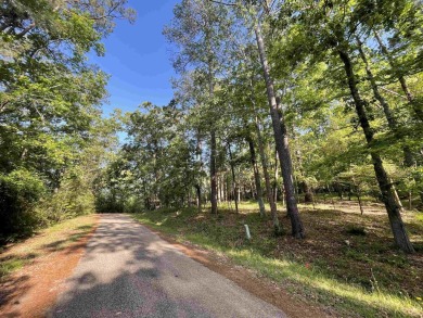 Whether you like to swing a club or wet a hook this location is on Rayburn Country Club in Texas - for sale on GolfHomes.com, golf home, golf lot