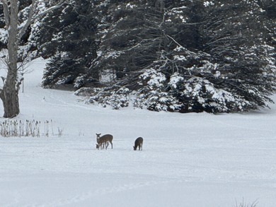 **Gorgeous Newer Build Overlooking Lakewood On The Green and on The Briar South At Lakewood in Michigan - for sale on GolfHomes.com, golf home, golf lot