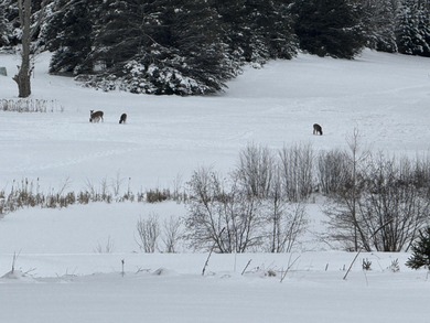 **Gorgeous Newer Build Overlooking Lakewood On The Green and on The Briar South At Lakewood in Michigan - for sale on GolfHomes.com, golf home, golf lot
