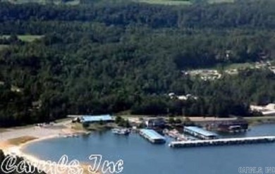 This custom built home is a one of a kind.   You will enjoy on DeSoto Golf Course in Arkansas - for sale on GolfHomes.com, golf home, golf lot