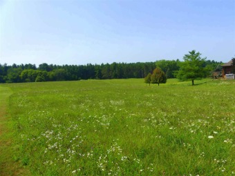 Come and take a look at this beautiful 2.20 acre lot at Lake on Lake Carroll Golf Course in Illinois - for sale on GolfHomes.com, golf home, golf lot