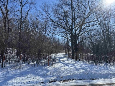 48 + acres of prime residential development land, with 2 sides on Whispering Springs Golf Club in Wisconsin - for sale on GolfHomes.com, golf home, golf lot