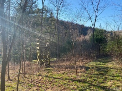 Great building lot over half an acre overlooking the 15th Green on Trillium Links in North Carolina - for sale on GolfHomes.com, golf home, golf lot
