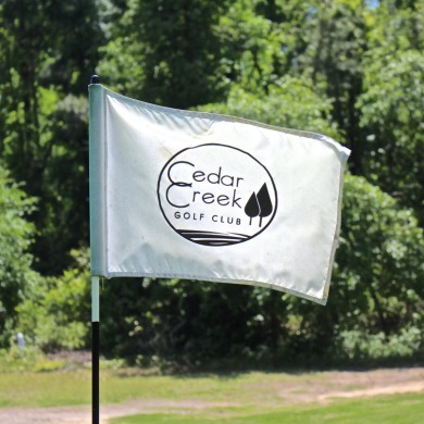 Golf View, Quiet Location and Convenience, this home site has it on The Golf Club At Cedar Creek in South Carolina - for sale on GolfHomes.com, golf home, golf lot