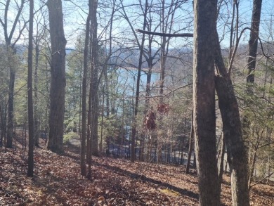 Come by Boat, Plane, or Car!  on The Greens at Deerfield in Tennessee - for sale on GolfHomes.com, golf home, golf lot