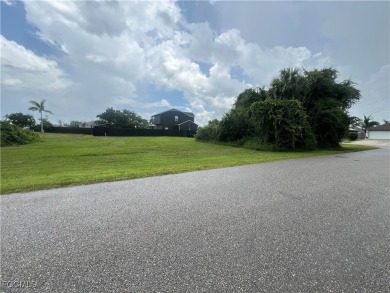 This beautiful Corner Lot is located in a lovely, established & on Del Tura Golf and Country Club in Florida - for sale on GolfHomes.com, golf home, golf lot