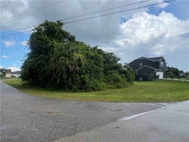 This beautiful Corner Lot is located in a lovely, established & on Del Tura Golf and Country Club in Florida - for sale on GolfHomes.com, golf home, golf lot
