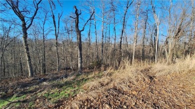 Discover the perfect opportunity to build your dream home on on Bella Vista Country Club - Scottsdale in Arkansas - for sale on GolfHomes.com, golf home, golf lot