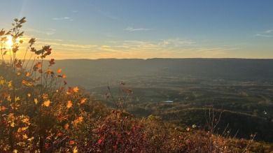 Nestled on Lookout Mountain, this wooded lot offers 3.21 acres on McLemore Golf Club in Georgia - for sale on GolfHomes.com, golf home, golf lot