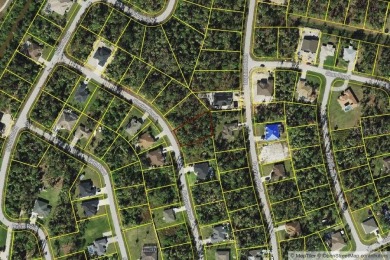 Beautiful lot waiting for you to build your dream home in the on Bobcat Trail Golf Club in Florida - for sale on GolfHomes.com, golf home, golf lot