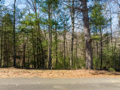 Welcome to Buckhorn Estates, where mountain living meets on White Path Golf Club in Georgia - for sale on GolfHomes.com, golf home, golf lot