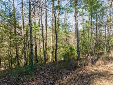 Welcome to Buckhorn Estates, where mountain living meets on White Path Golf Club in Georgia - for sale on GolfHomes.com, golf home, golf lot