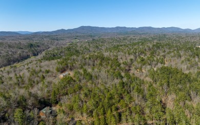 Welcome to one of the finest offerings in Buckhorn Estates! on White Path Golf Club in Georgia - for sale on GolfHomes.com, golf home, golf lot
