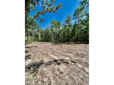*Prime Canvas for Your Dream Retreat* Located within the on Rayburn Country Club in Texas - for sale on GolfHomes.com, golf home, golf lot