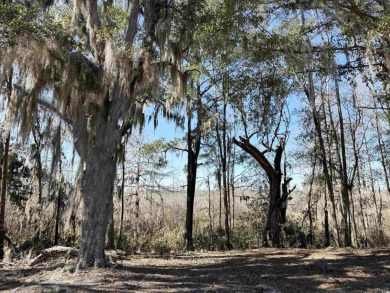 Premier homesite located in the renowned gated, golf course on Willbrook Plantation Golf Club in South Carolina - for sale on GolfHomes.com, golf home, golf lot