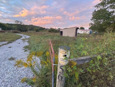 There are many so many options for this 9.75 +/- Acres. This on Woodson Bend Resort in Kentucky - for sale on GolfHomes.com, golf home, golf lot