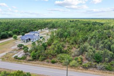 Prime UPLANDS, HIGH AND DRY 2.34-acre eastern-facing lot in on The Club At Twin Eagles in Florida - for sale on GolfHomes.com, golf home, golf lot