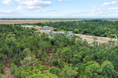 Prime UPLANDS, HIGH AND DRY 2.34-acre eastern-facing lot in on The Club At Twin Eagles in Florida - for sale on GolfHomes.com, golf home, golf lot