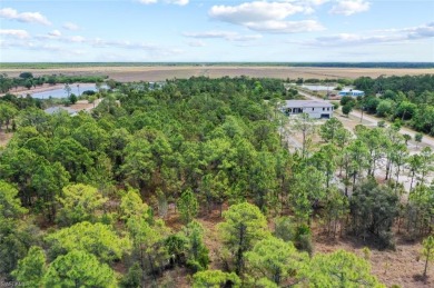Prime UPLANDS, HIGH AND DRY 2.34-acre eastern-facing lot in on The Club At Twin Eagles in Florida - for sale on GolfHomes.com, golf home, golf lot