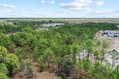 Prime UPLANDS, HIGH AND DRY 2.34-acre eastern-facing lot in on The Club At Twin Eagles in Florida - for sale on GolfHomes.com, golf home, golf lot