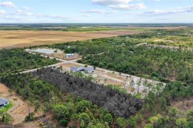 Prime UPLANDS, HIGH AND DRY 2.34-acre eastern-facing lot in on The Club At Twin Eagles in Florida - for sale on GolfHomes.com, golf home, golf lot