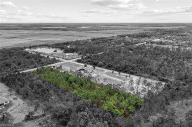 Prime UPLANDS, HIGH AND DRY 2.34-acre eastern-facing lot in on The Club At Twin Eagles in Florida - for sale on GolfHomes.com, golf home, golf lot
