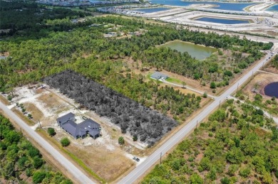 Prime UPLANDS, HIGH AND DRY 2.34-acre eastern-facing lot in on The Club At Twin Eagles in Florida - for sale on GolfHomes.com, golf home, golf lot