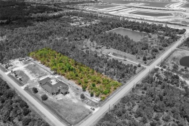 Prime UPLANDS, HIGH AND DRY 2.34-acre eastern-facing lot in on The Club At Twin Eagles in Florida - for sale on GolfHomes.com, golf home, golf lot