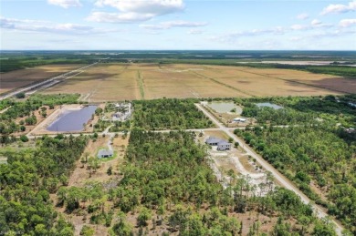 Prime UPLANDS, HIGH AND DRY 2.34-acre eastern-facing lot in on The Club At Twin Eagles in Florida - for sale on GolfHomes.com, golf home, golf lot