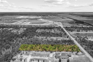 Prime UPLANDS, HIGH AND DRY 2.34-acre eastern-facing lot in on The Club At Twin Eagles in Florida - for sale on GolfHomes.com, golf home, golf lot