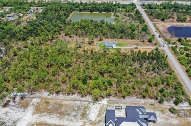 Prime UPLANDS, HIGH AND DRY 2.34-acre eastern-facing lot in on The Club At Twin Eagles in Florida - for sale on GolfHomes.com, golf home, golf lot