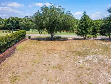 Embrace the Pinnacle of Luxury Living: Build Your Dream Home in on Reunion Resort Golf Course in Florida - for sale on GolfHomes.com, golf home, golf lot