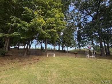 WOW! This beautifully built home on the 13th hole of Raintree on Raintree Country Club in Missouri - for sale on GolfHomes.com, golf home, golf lot