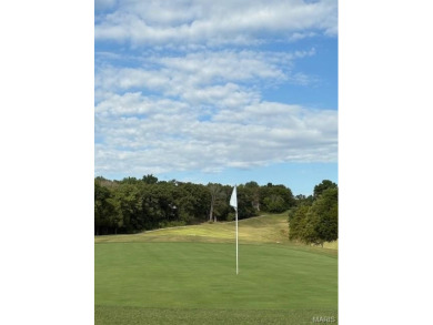 WOW! This beautifully built home on the 13th hole of Raintree on Raintree Country Club in Missouri - for sale on GolfHomes.com, golf home, golf lot