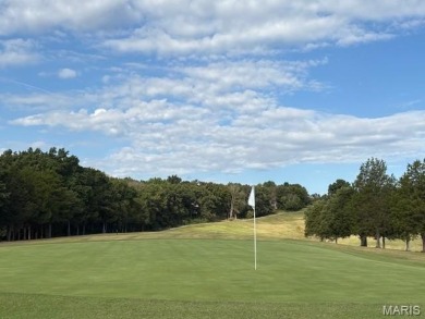 WOW! This beautifully built home on the 13th hole of Raintree on Raintree Country Club in Missouri - for sale on GolfHomes.com, golf home, golf lot