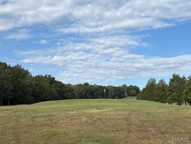 WOW! This beautifully built home on the 13th hole of Raintree on Raintree Country Club in Missouri - for sale on GolfHomes.com, golf home, golf lot