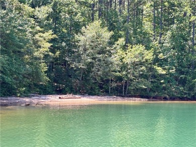 MOVE IN READY. Located in the gated Lake Keowee community of on Keowee Key Golf and Country Club in South Carolina - for sale on GolfHomes.com, golf home, golf lot
