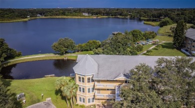 Under contract-accepting backup offers. Fully furnished LAKE on On Top Of The World Golf Course in Florida - for sale on GolfHomes.com, golf home, golf lot