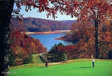 Norris Lake (TN-44) Fly-in Private Residential Gated Community 1 on The Greens at Deerfield in Tennessee - for sale on GolfHomes.com, golf home, golf lot