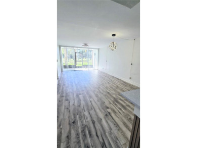 Best price in town for a Fully Remodeled Condo @ Villas Caprie on Largo Golf Course in Florida - for sale on GolfHomes.com, golf home, golf lot