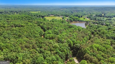 Bring your plans & build your dream home!  The Orchard - a on The Orchard Golf and Country Club in Georgia - for sale on GolfHomes.com, golf home, golf lot