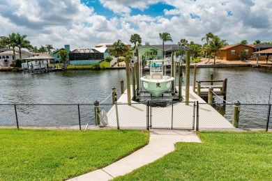 Waterfront and no flood damage due to an 11' elevation!  Welcome on Apollo Beach Golf and Sea Club in Florida - for sale on GolfHomes.com, golf home, golf lot