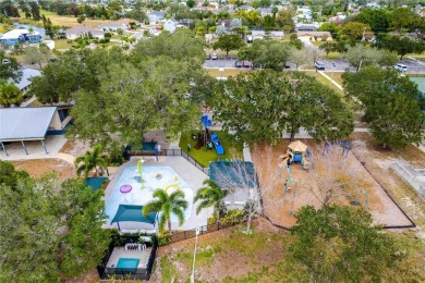 Waterfront and no flood damage due to an 11' elevation!  Welcome on Apollo Beach Golf and Sea Club in Florida - for sale on GolfHomes.com, golf home, golf lot