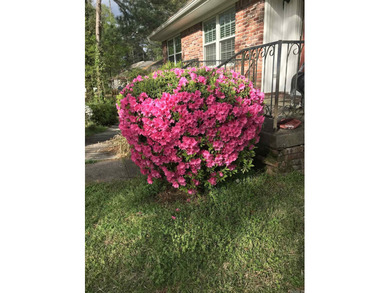 This spacious home in Foxwood offers 3 bedrooms and 3 1/2  baths on Foxwood Golf Club in Arkansas - for sale on GolfHomes.com, golf home, golf lot