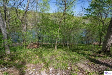 Don't miss your chance to snatch up this beautiful LAKE FRONT on Doe Valley Country Club in Kentucky - for sale on GolfHomes.com, golf home, golf lot