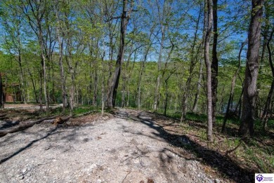 Don't miss your chance to snatch up this beautiful LAKE FRONT on Doe Valley Country Club in Kentucky - for sale on GolfHomes.com, golf home, golf lot