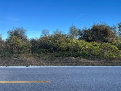 BACK ON THE MARKET! Build Your Florida Dream Home at 1434 on Deep Creek Golf Club in Florida - for sale on GolfHomes.com, golf home, golf lot